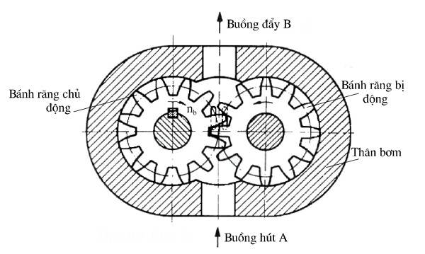 Bơm bánh răng ăn khớp ngoài